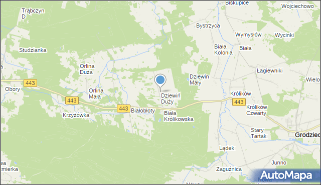 mapa Dziewiń Duży, Dziewiń Duży na mapie Targeo